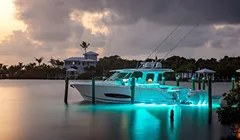 Luxury
