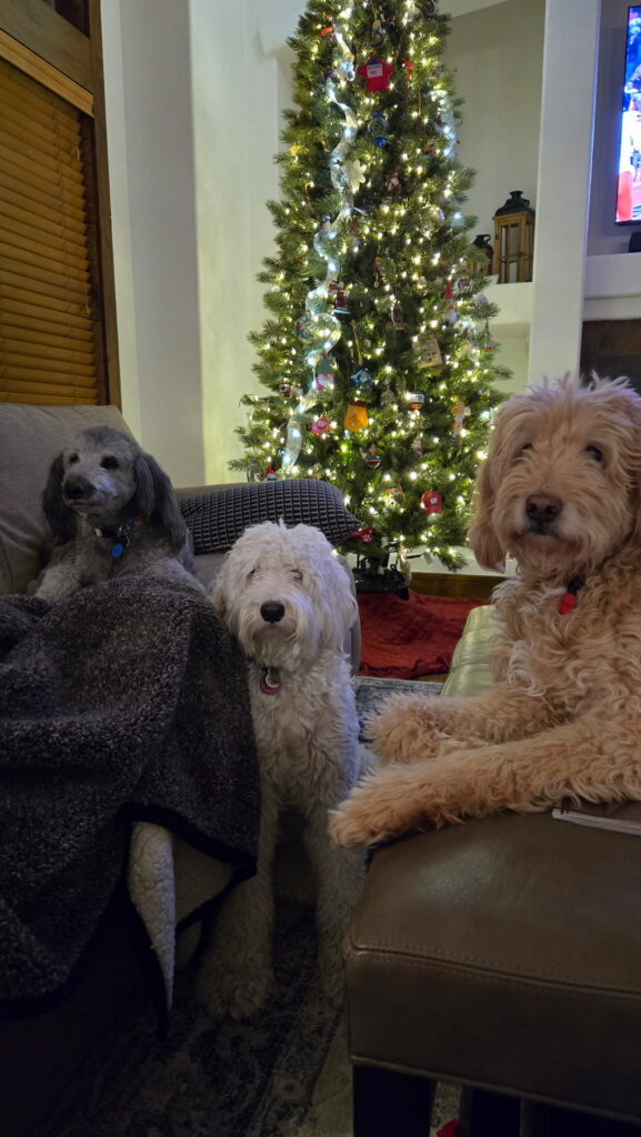 Holiday Cheer from the CBC Family (Pets Included!)