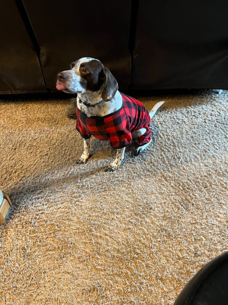 Holiday Cheer from the CBC Family (Pets Included!)