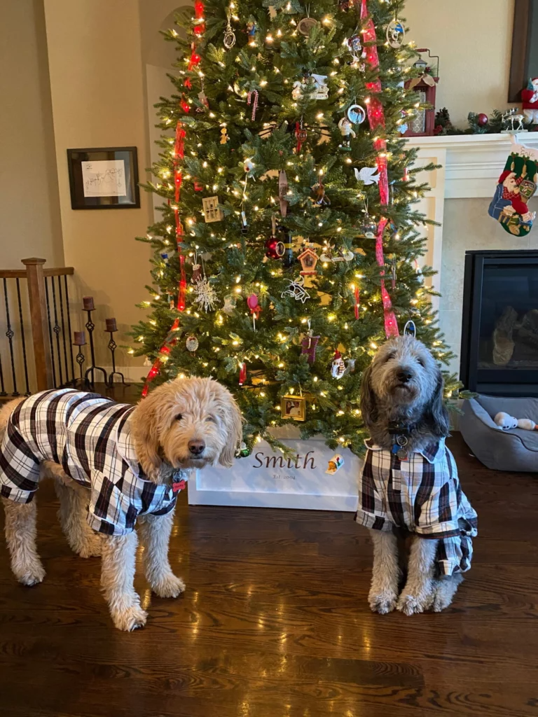 Holiday Cheer from the CBC Family (Pets Included!)