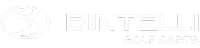 Bintelli