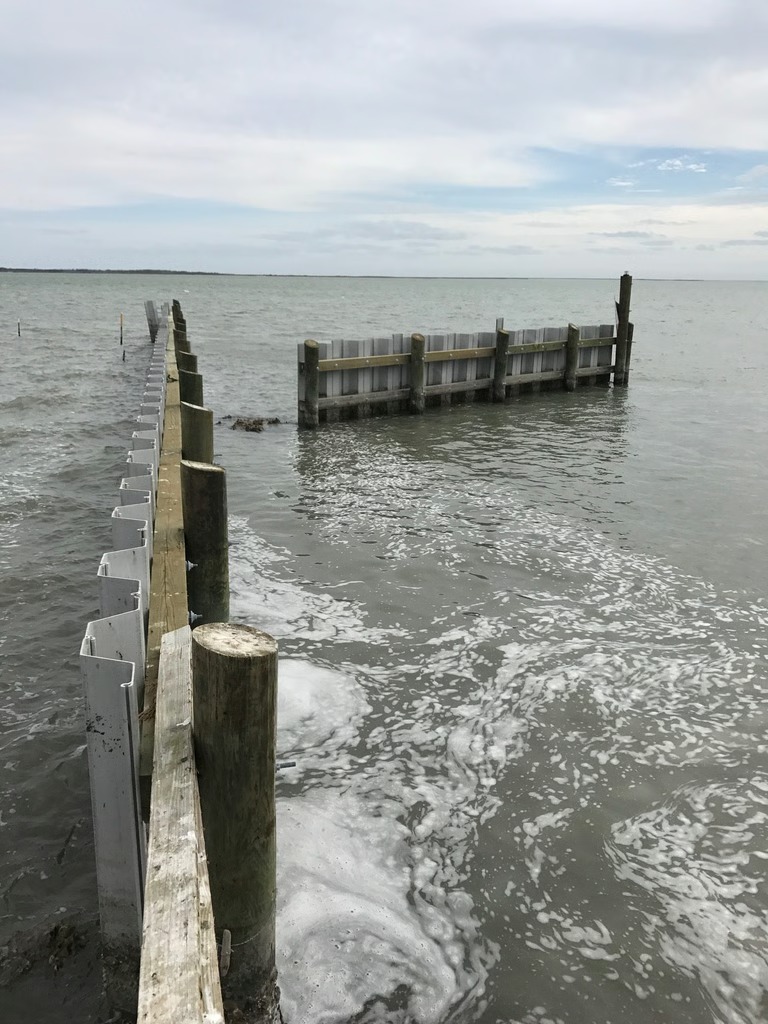 Unaffected by Marine Borers