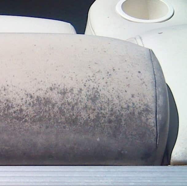 How to Remove Mold & Mildew from Boat Upholstery