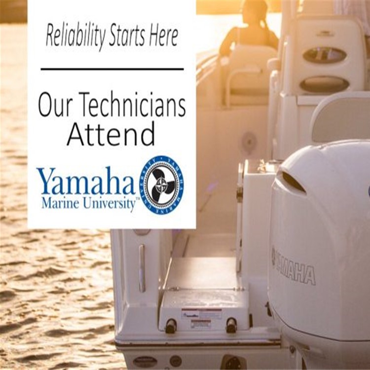 Standard Maintenance