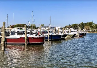 maryland