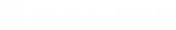 balise-logo