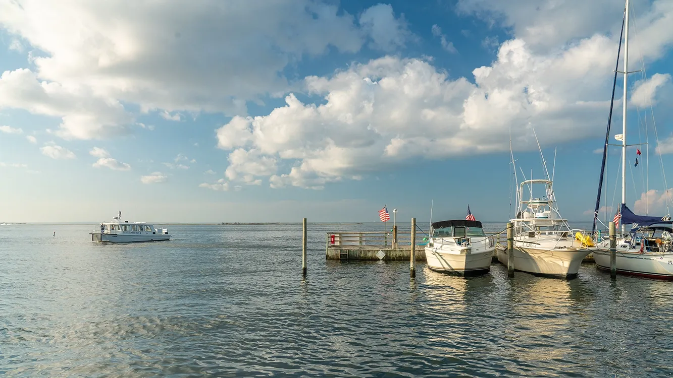 Fire Island beach