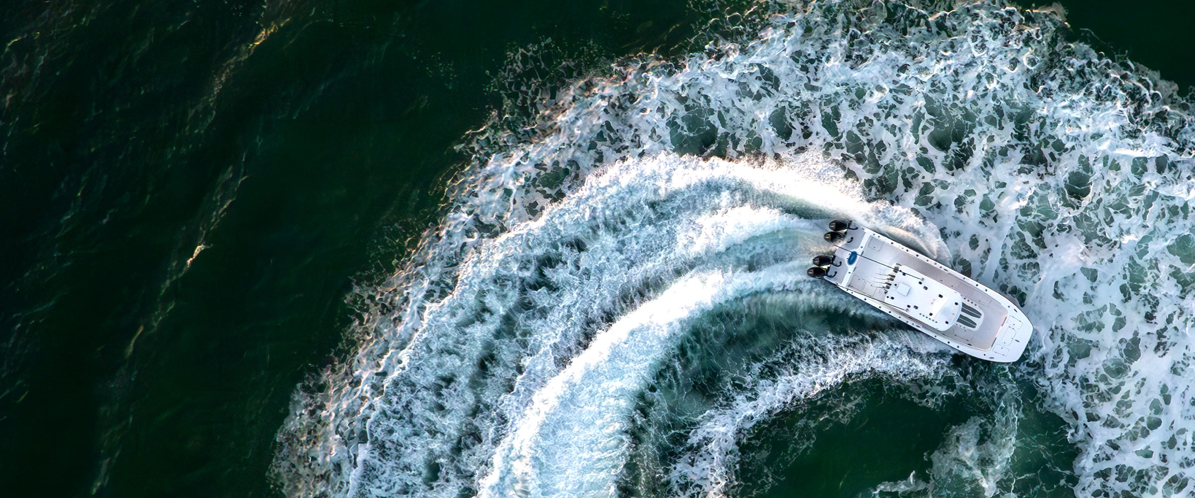 cobia-header