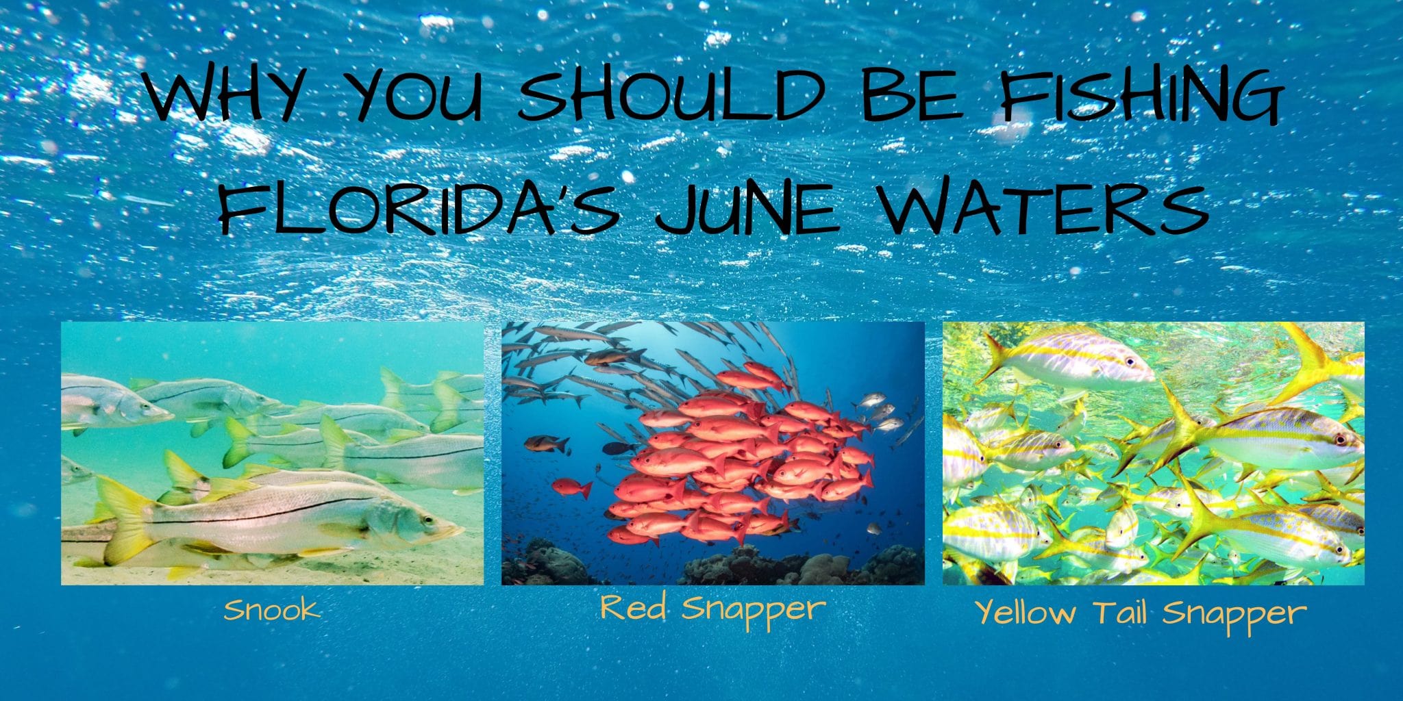 Why You Should Be Fishing Florida’s June Waters