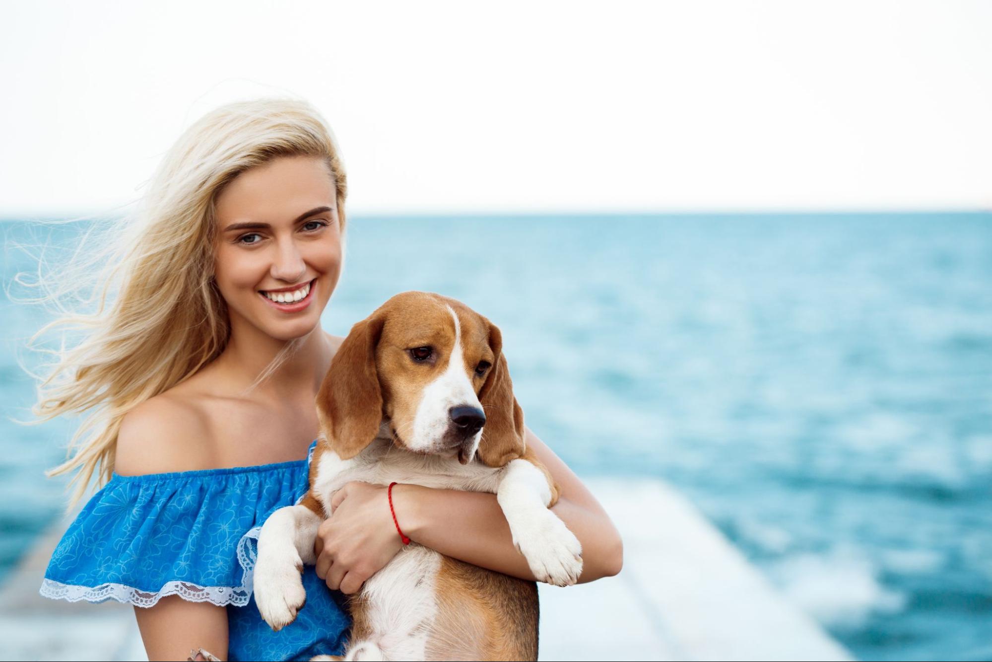 Boating with Pets: A Paw-some Adventure
