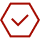 Check Icon