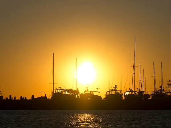 Marina sunset view