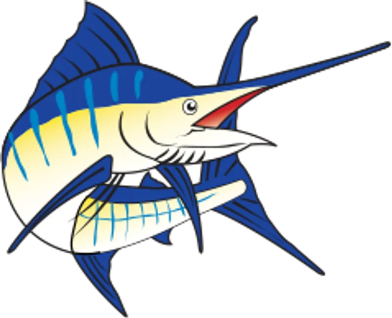 shark_img