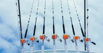 Best Fishing Spots on Cape Cod: Where Local Boaters Chase Striped Bass, Bluefish & More