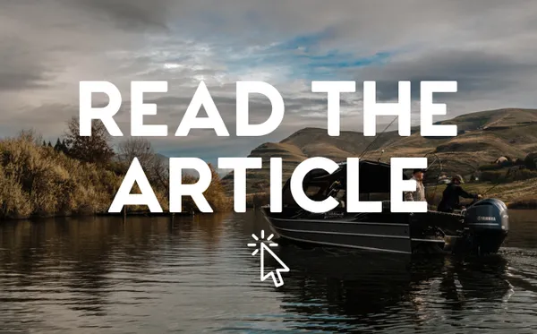 It's Savvy Buyer Season - Get the Guide