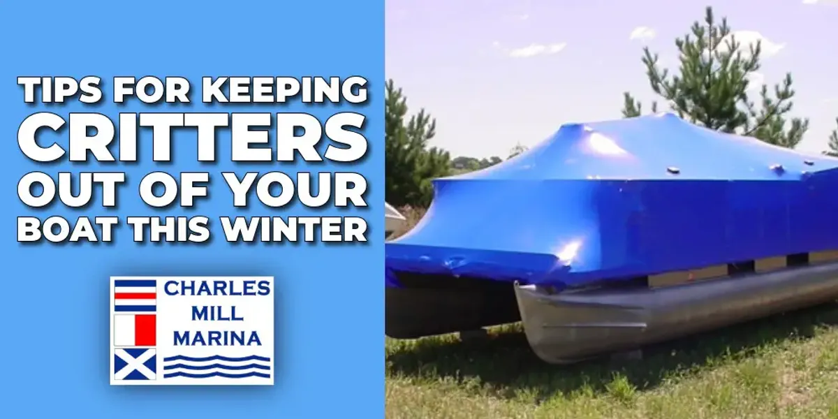 Tips for Keeping Critters Out of Your Boat This Winter