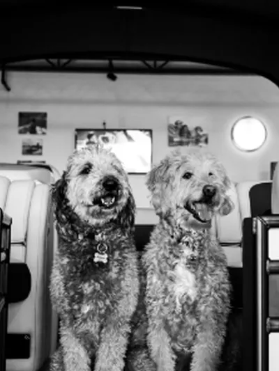 Rizzo and Bucky - CBC Greeters - Colorado Boat Center -