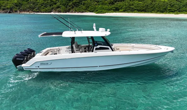 Boston Whaler image