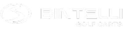 Bintelli