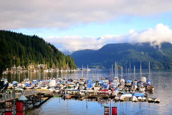 Explore Local Marinas