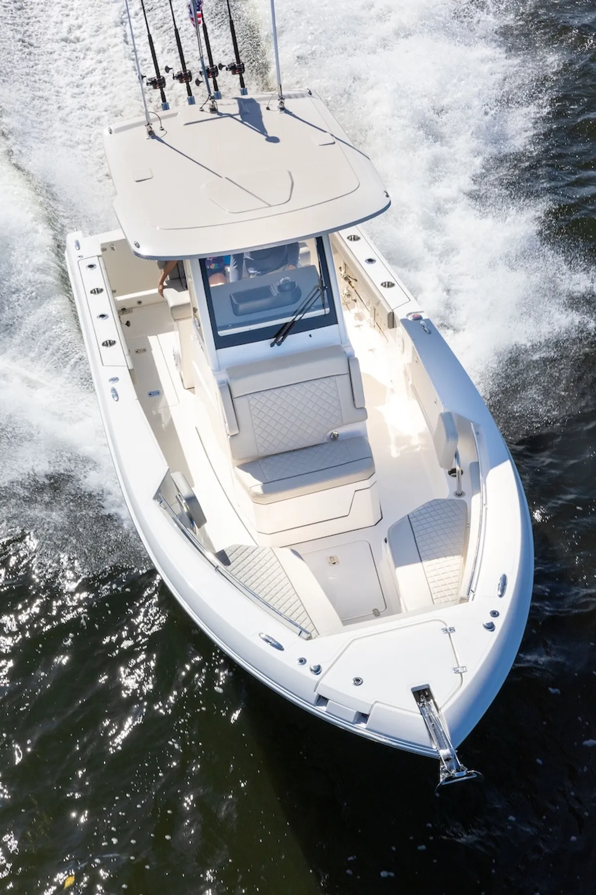 model-image
