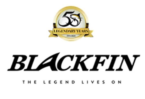 Blackfin Boats are highly sought after because they perfectly blend legendary offshore fishing capabilities with top-tier, family-friendly luxury.