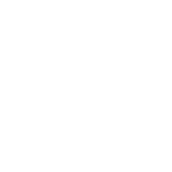 zoom-icon
