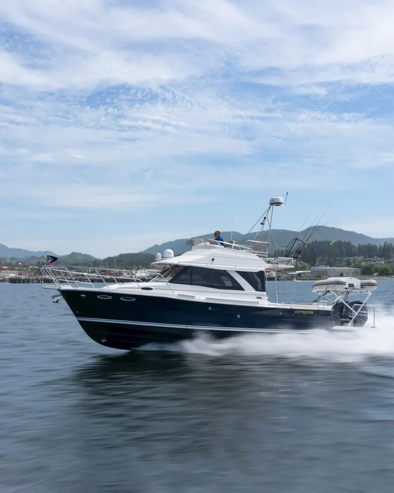 model-image