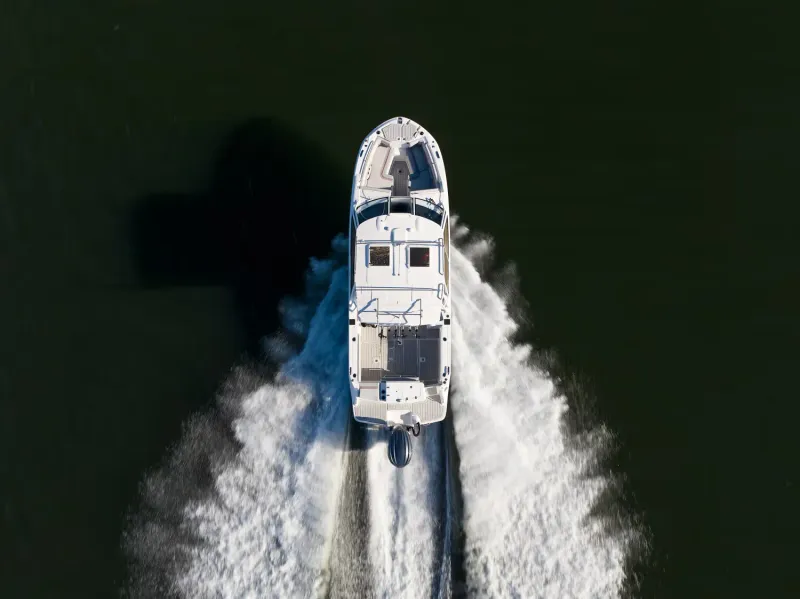model-image