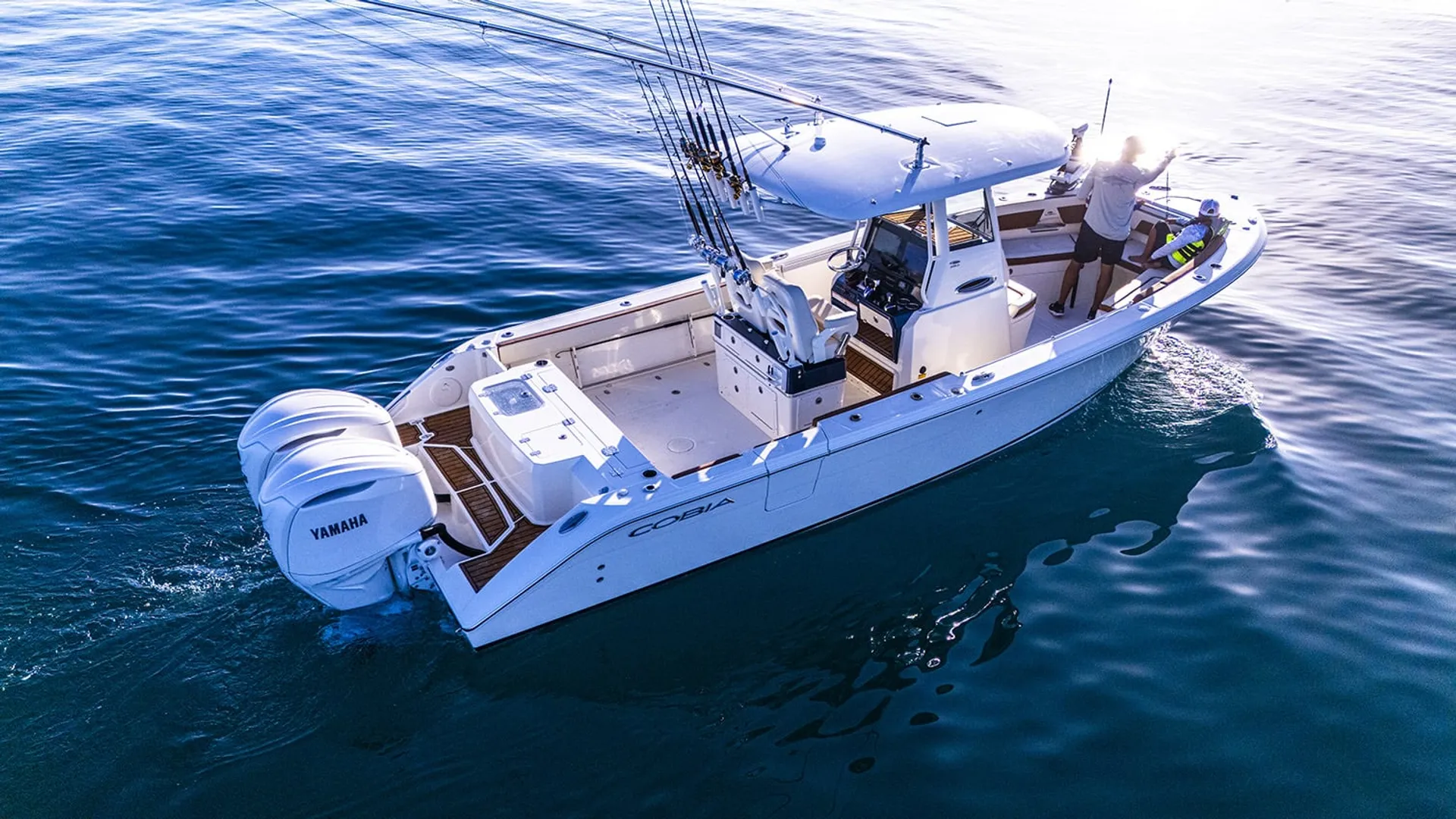 Cobia
