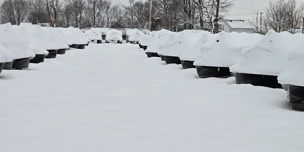 Boat Storage