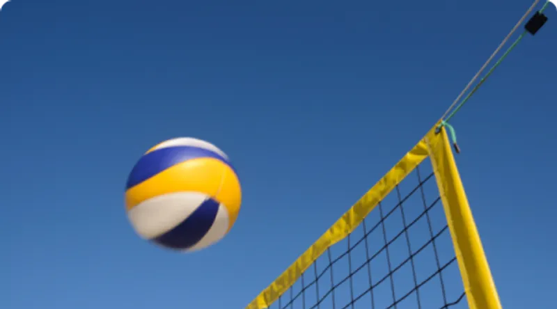 Volleyball and Pickleball Courts