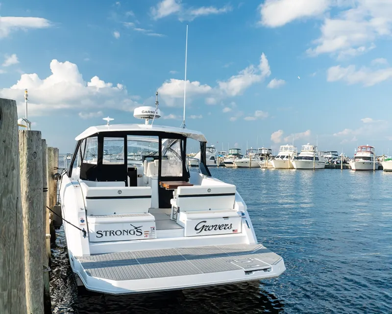 Marina Scene