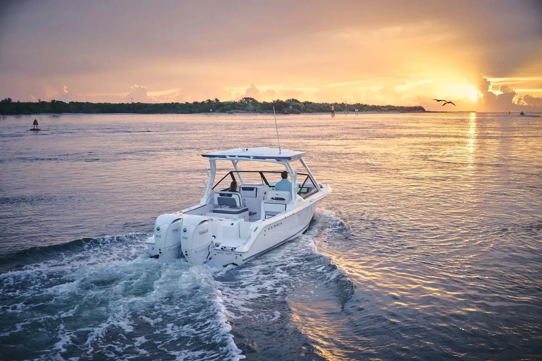 Introducing the All New Cobia 250 DC