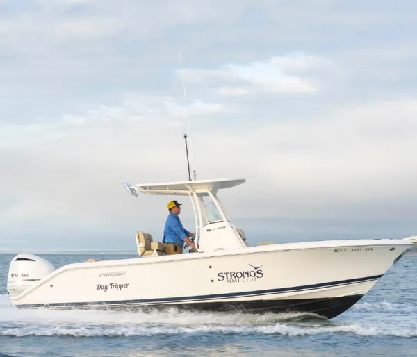 pursuit boats