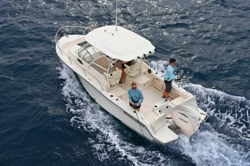offshore-fishing