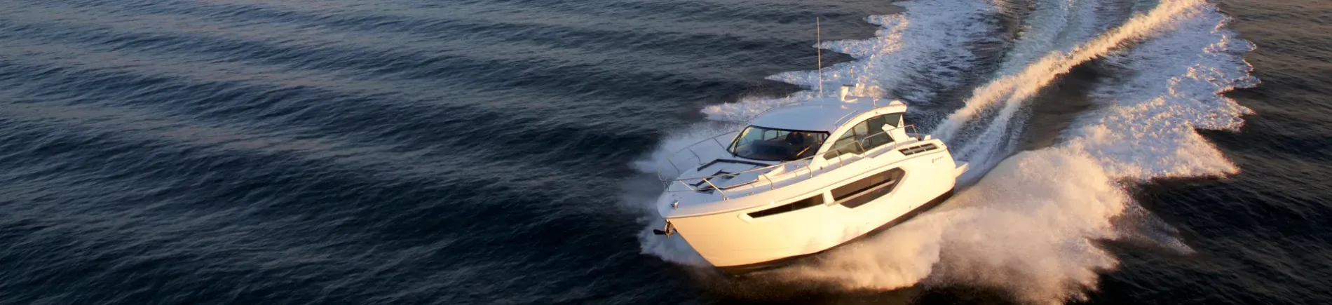 Cruiser