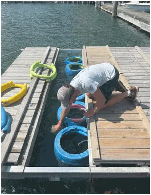 Strong's Yacht Center