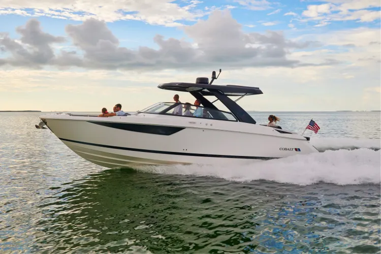 Cobalt boat