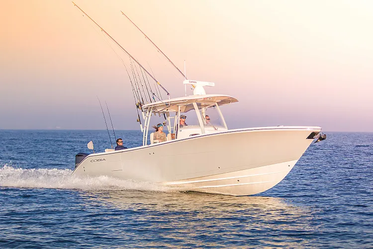 Cobia boat