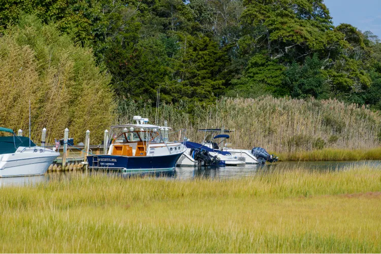 Broadwaters Cove Gallery