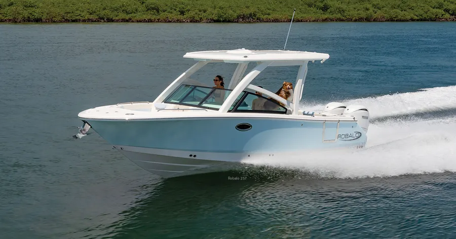 The Most Pet-Friendly Boats