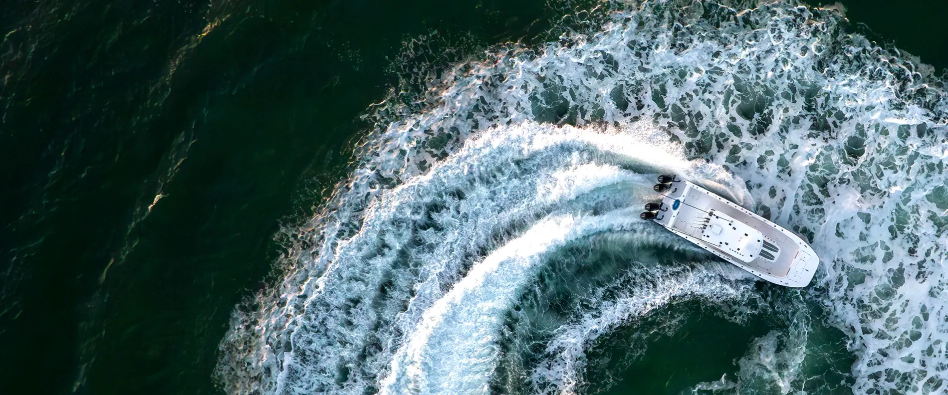 cobia-header