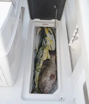 Storage space on a Sailfish boat
