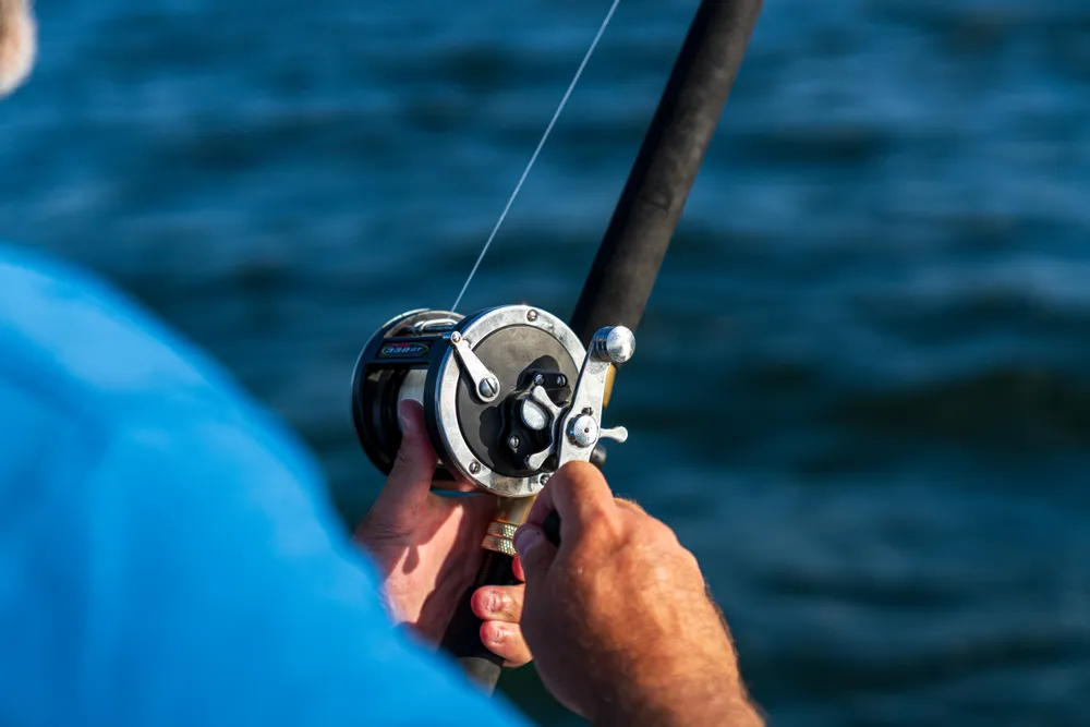 The Five Basic Fishing Knots Every Angler Needs to Know