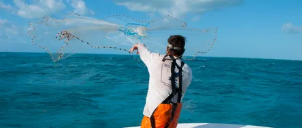 The Beauty of Live Bait