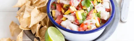 Snapper Season: A Recipe for A Good Time with Sailfish